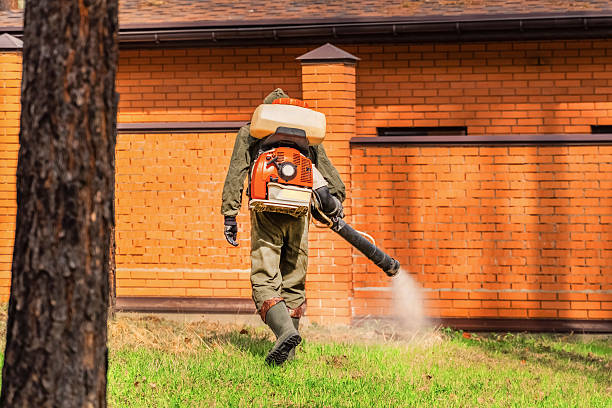 Trusted Rodent Control service in Quail Creek, TX - Nex Pest Control
